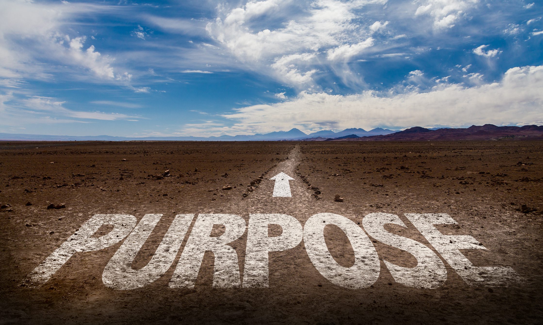 In Search of Purpose